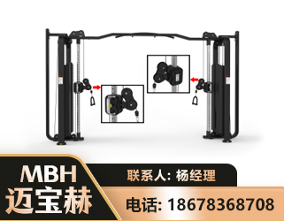 佳木斯大飞鸟训练器